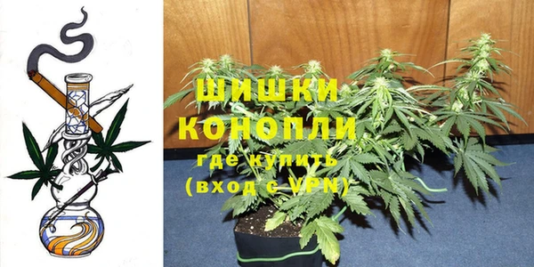 мяу мяу мука Михайловка